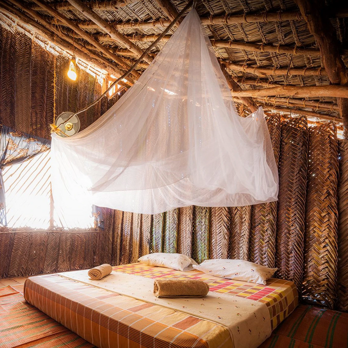 Tranquil camping scene with a mosquito net set up, providing a peaceful and protected outdoor experience.