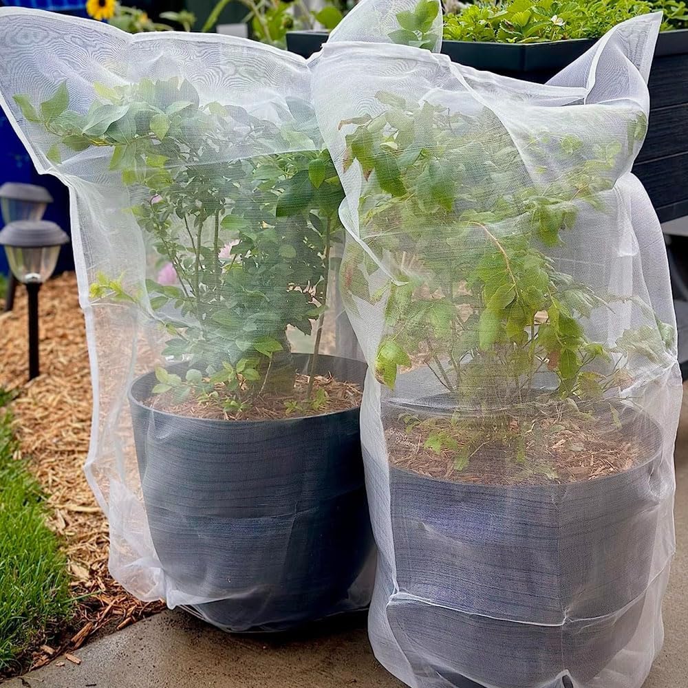 Garden Netting and Fruit Tree Netting — bedcanopystore