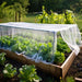 garden netting keeps your garden, grape vineyard, and strawberry plants safe from insects and animals