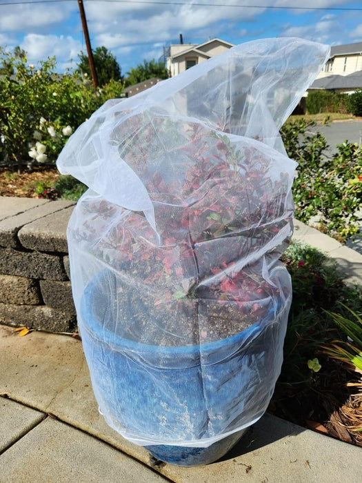 Fruit Tree Netting Bag defense against destructive insects, bugs, and birds