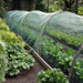 Green mosquito net fabric for garden and patio, 10 x 20 diy insect netting mesh material, raised bed