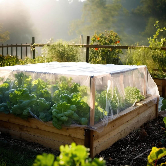 Protex *Extra Large* 6 Pz - Redcare - Foto 8