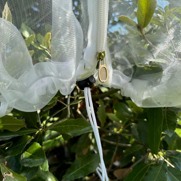 Protective garden netting covering blueberry bushes and tomato plants to keep pests away.