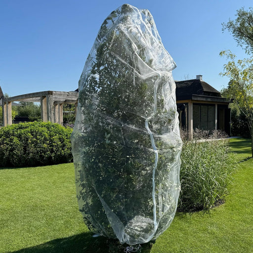 Fine mesh protector net for plants, keeping birds and insects away while supporting healthy growth.
