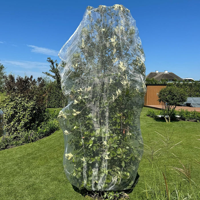 Large 6.5 x 8.5 FT fruit tree protection net covering a garden tree for bird and insect control.